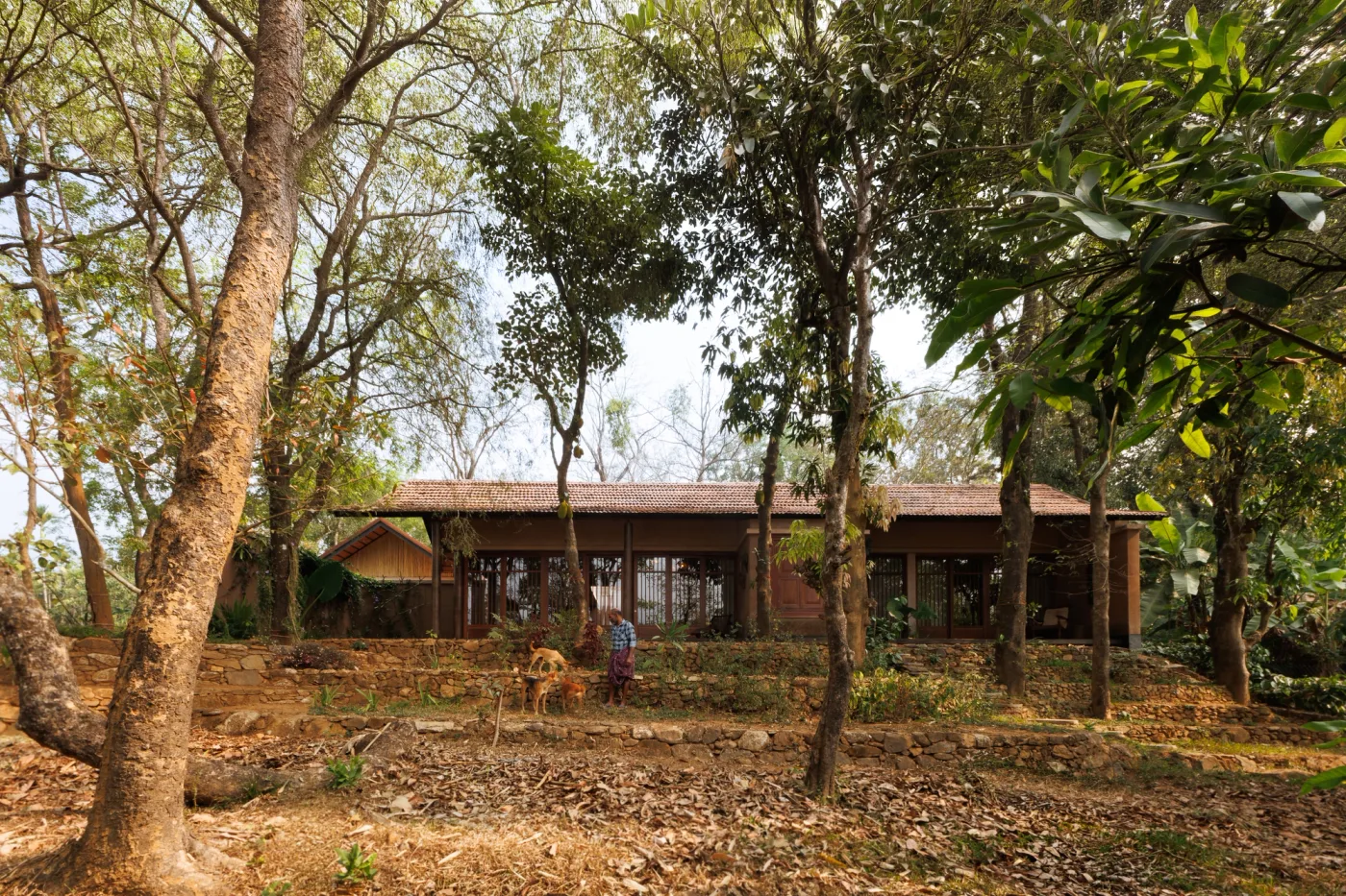 exterior view